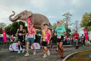 BIB: 
                            <button type="button" onclick="openModal(26529185)" class="btn btn-primary btn-sm float-right btn-popup" data-toggle="modal" data-target=".modal-high-quality">
                        <i class="fas fa-shopping-cart"></i> Add to Cart
                    </button>
                                            <button type="button" onclick="isThisMe(26529185, true)" class="btn btn-success btn-sm float-right btn-popup btn-isme hidden" data-toggle="tooltip" data-placement="bottom" title="นี่คือรูปของคุณใช่ไหม คลิกที่นี่เพื่อเอาเข้าอัลบั้ม">
                        <i class="fas fa-plus"></i> Add to album
                    </button>
                    <button type="button" onclick="isThisMe(26529185, false)" class="btn btn-warning btn-sm float-right btn-popup btn-isnotme hidden">
                        <i class="fas fa-ban"></i> Remove from album
                    </button>